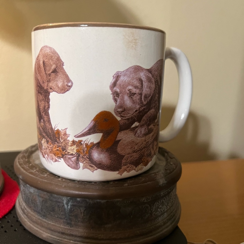 Labrador cup like new - Picture 3 of 3